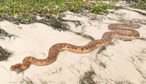 Detailed 99.5" Long Python Snake Replica - Flexible Rubber Toy Figure