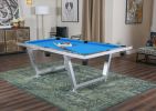 Modern Stainless Steel Indoor/Outdoor Billiard Table