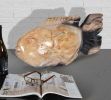 Polished Petrified Wood Fish Sculpture - Unique Home Decor Accent
