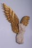 Azaz Angel Wall Statue | Detailed Gothic Fallen Angel Wall Sculpture