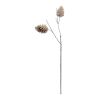 Pine Cone Spray (Set of 12) 30"H Plastic Stem