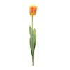 Tulip Stem (Set of 6) 27"H Polyester-Plastic
