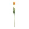 Tulip Stem (Set of 6) 27"H Polyester-Plastic