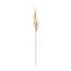 Fox Tail Stem (Set of 2) 47"H Polyester