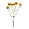 Pod Spray (Set of 6) 20"H Plastic Stem