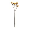 Rose Bud Spray (Set of 6) 22"H Polyester Stem