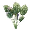 Prayer Plant (Set of 6) 21.5"H Polyester Stem