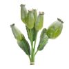 Poppy Pod Bundle (Set of 6) 9.5"H Foam-Plastic