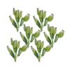 Poppy Pod Bundle (Set of 6) 9.5"H Foam-Plastic