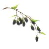 Raspberry Vine (Set of 6) 24.5"L Plastic-Polyester