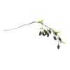 Raspberry Vine (Set of 6) 24.5"L Plastic-Polyester