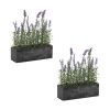 Set Of 2 Potted Lavender Plants - 11.5"L x 14.75"H (Plastic)