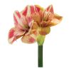 Amaryllis Stem (Set of 2) 28.5"H Polyester