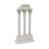 Temple Of Castor & Pollux Column