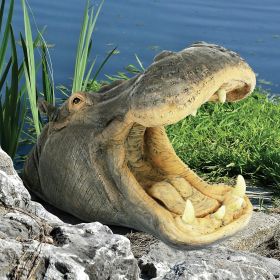 Hippo Head With Open Mouth Outdoor Garden Statue