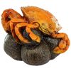 Coastal Crab Garde Garden Statue