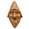 Outdoor Cast Resin Tree Face Birdhouse In Wood Finish