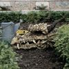 Large Stokers Moors Dragon Trophy Garden Statue