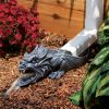 Ranier Dragon Garden Rainspout