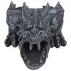 Ranier Dragon Garden Rainspout