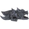 Ranier Dragon Garden Rainspout