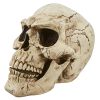 Sinister Simon Halloween Garden Outdoor Skull