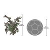 Crotchety Crank Tree Ent Wall-Mount Plaque
