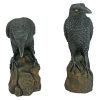 Mystic Night Raven Outdoor Halloween Statues