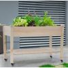 Solid Fir Wood Raised Garden Box (2x4 ft) With Locking Caster Wheels