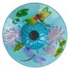 Outdoor Glass Bowl Birdbath With Black Metal Stand & Solar Powered Light
