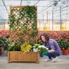 71" Trellis & Raised Fir Wood Garden Bed Planter