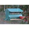 Rugged Green Metal Squirrel-Proof Bird Feeder