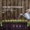 Mini Raised Garden Bed Planter Box Greenhouse Combo