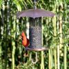 Copper Umbrella Bird Feeder With Mesh Tube Revivor