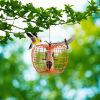 Outdoor Squirrel Resistant Metal Mesh Bird Feeder
