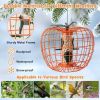 Outdoor Squirrel Resistant Metal Mesh Bird Feeder