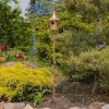 Copper Iron Gramophone Roof Garden Birdhouse With Stake
