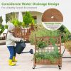 Mobile Fir Wood Raised Garden Bed With Trellis