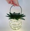 Solar-Powered Garden Lights With Pineapple Design & LED Swirling Pattern
