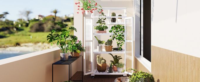 62" Wood Greenhouse With Wheels & Adjustable Shelves For Indoor/Outdoor Use