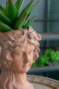 Brown Head Bust Cement Outdoor Patio Planter