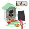AI Smart Bird Feeder With Camera & Solar Panel
