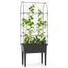 Elevated Planter With Self-Watering System & Trellis