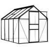 Anthracite Aluminum Greenhouse With 51.1 Sq. Ft. Surface Area