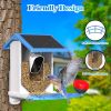 AI Smart Solar-Powered Wi-Fi Bird Feeder With Camera