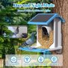 AI Smart Solar-Powered Wi-Fi Bird Feeder With Camera