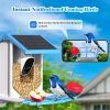 AI Smart Solar-Powered Wi-Fi Bird Feeder With Camera