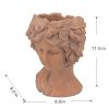 Brown Head Bust Cement Outdoor Patio Planter