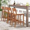 Outdoor Wood Barstools (Set of 2)