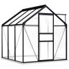 Anthracite Aluminum Greenhouse With Base Frame 38.9 Square Feet